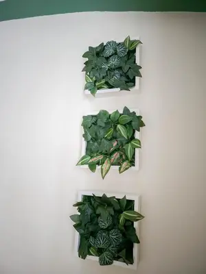 two white shelves with green plants on a wall at Heart of Zizkov in Prague