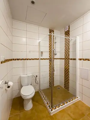 a bathroom with a toilet and a shower at Heart of Zizkov in Prague