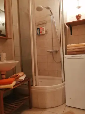 a bathroom with a shower and a sink at ANDĚL apartment VLTAVA' SPIRIT - Smíchov in Prague