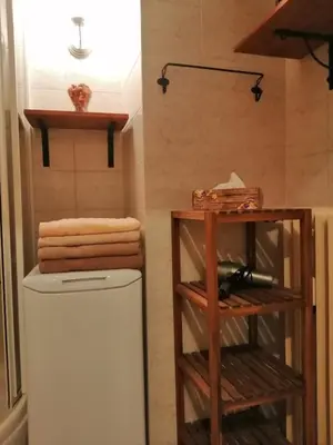 a bathroom with a white refrigerator and a shelf with towels at ANDĚL apartment VLTAVA' SPIRIT - Smíchov in Prague