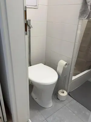 a small bathroom with a toilet and a shower at Smart Studio for Work & City Exploring in Prague