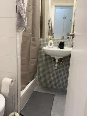 a bathroom with a sink and a shower at Smart Studio for Work & City Exploring in Prague