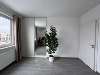 a plant in a white room with a mirror at Villa with Terrace & private garden 30 min to Prague Center