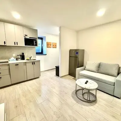 Comfortable apartmant in Prague