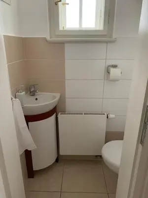 a white bathroom with a sink and a toilet at Art nouveau villa with garden close to center in Prague