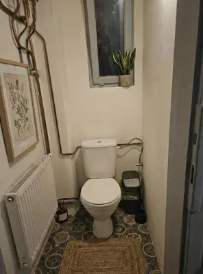 a small bathroom with a toilet and a plant at Anhouse in Prague