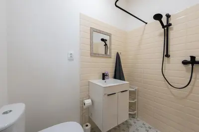 a bathroom with a toilet and a sink and a shower at Cozy Central apartment by Charles Square in Prague