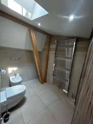 a bathroom with a white toilet and a sink at Aparthotel Tycho de Brahe in Prague