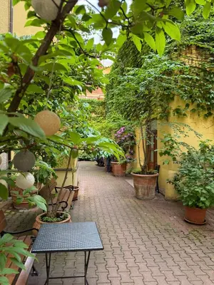 a walkway with benches and plants in a garden at RETRO Boho style St Clement with a green oasis in Prague