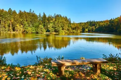 a wooden bench sitting in front of a lake at Jevany Four Bedroom Luxury Villa by the Lake with Infrasauna and Grill in Jevany