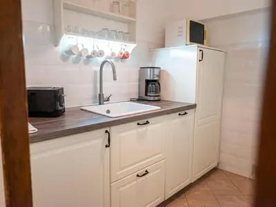 a small kitchen with a sink and a refrigerator at Golden Horse in Prague