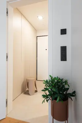 a hallway with a potted plant next to a door at Prague Modern Apartment in Prague