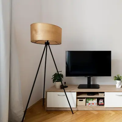 a lamp in a living room with a television at Sudomerská 5, Zizkov, Czech Republic in Prague