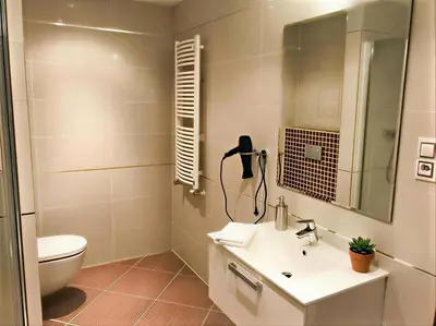 a bathroom with a sink and a toilet and a mirror at Fortuna Garden III in Prague
