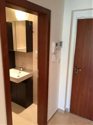 a bathroom with a sink and a wooden door at Fortuna Garden IV in Prague