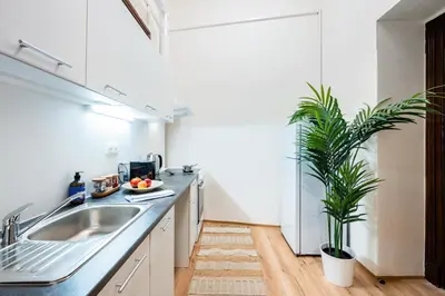 a kitchen with a sink and a potted plant at Prague Days - Apartments with Parking in New Town in Prague