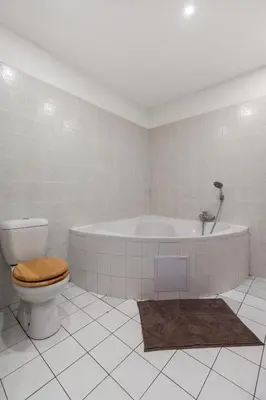 a bathroom with a toilet and a bath tub at Grand Gallery Riverside in Prague