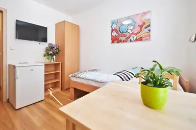 a living room with a table with a plant at Apartmány Ubytování Alfa in Prague