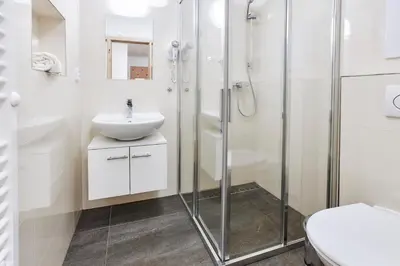 a bathroom with a shower and a sink and a toilet at Apartmány Ubytování Alfa in Prague