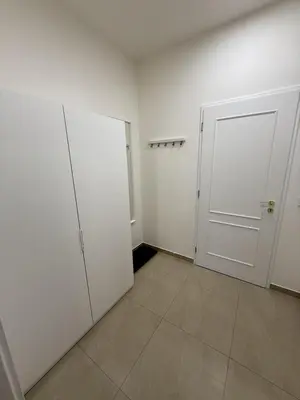 a white room with two closets and a door at Apartment with garage for 4 people in Prague