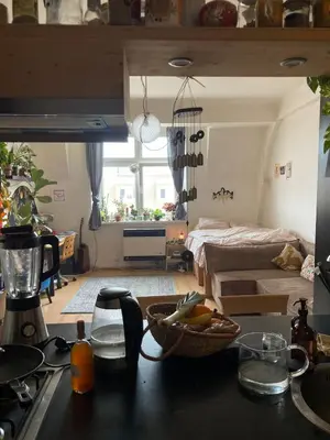 Gallery image of Cozy flat near the center of Prague in Prague