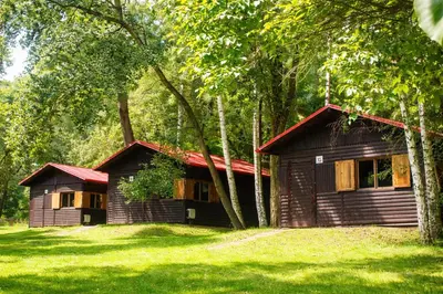 a small wooden cabin in the middle of a forest at Autocamp Kosmonosy in Mladá Boleslav