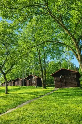 a group of huts in a field with trees at Autocamp Kosmonosy in Mladá Boleslav