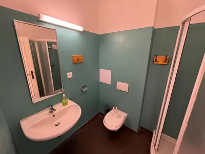 a bathroom with a sink and a toilet at Artillery Barracks Accommodation in Terezín