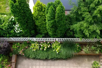 a garden with green plants and flowers on a wall at Guest House Villa Monet in Prague