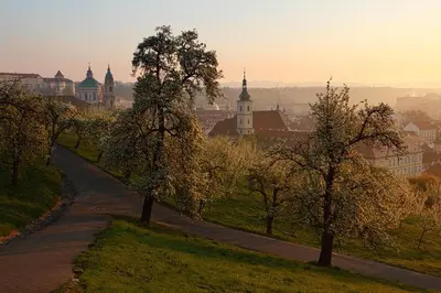 a street with trees and buildings in a city at Cozy Private Studio for Couples & Solo Travelers in Prague