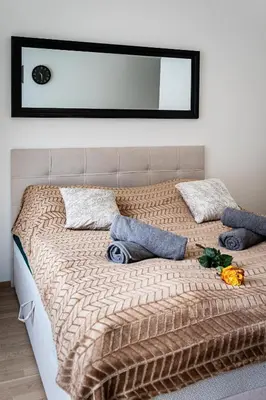 a bedroom with a bed with a mirror on the wall at New Bohemian Apartment in Prague