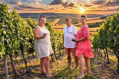 three people standing in a vineyard at sunset at Kovárna Klapý pod Hazmburkem - České středohoří in Klapý