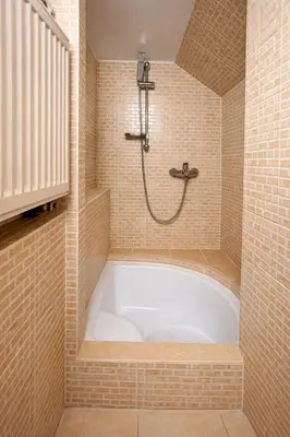 a bath tub in a bathroom with a shower at Kovárna Klapý pod Hazmburkem - České středohoří in Klapý