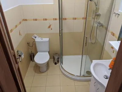 a bathroom with a shower and a toilet and a sink at Wellness resort Kytra in Slavětín