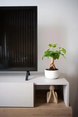 a potted plant sitting on a white table next to a tv at Place of Grace in Prague