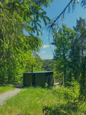 a green building on a road in the woods at Tinyhouse Veranda
