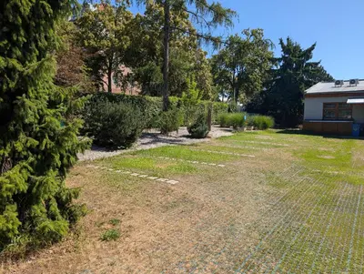 a yard with a fence and a tree at Secret Garden Studio in Prague