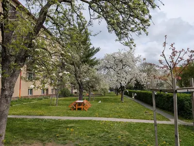 a picnic table in a park with trees at Secret Garden Studio in Prague