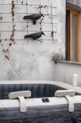 a table with two birds on a wall at Nature Diamond Suite in Prague
