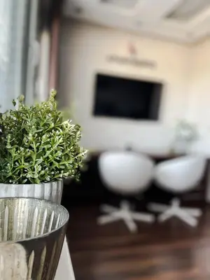 a living room with a potted plant and a television at Apartment Lupáčova in Prague