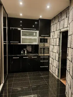 a kitchen with black cabinets and stainless steel appliances at Apartment Lupáčova in Prague