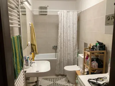 a bathroom with a sink and a toilet and a tub at Wenceslas Square Center in Prague