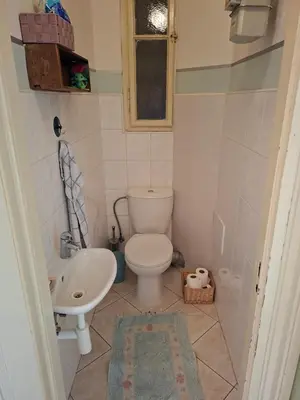 a small bathroom with a toilet and a sink at Cosy place in Prague 2 Vinohrady in Prague