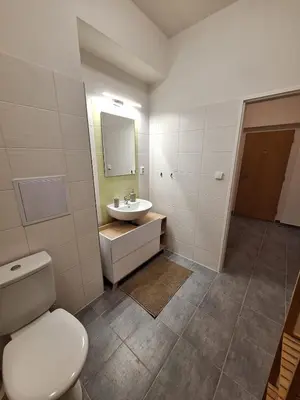 a bathroom with a white toilet and a sink at Cozy and newly equipped apartment in Prague