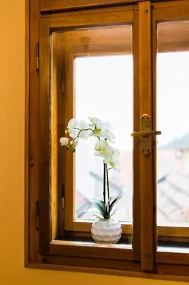 a vase of flowers sitting in a window at Apartments U Krále Brabantského in Prague