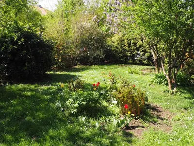 a garden with red flowers in the grass at Stylish studio near Jezerka park in Prague