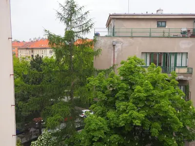 a view of a building with trees in front of it at Stylish studio near Jezerka park in Prague
