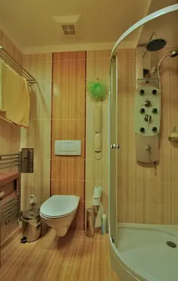 a bathroom with a toilet and a bath tub at Apartment Trziste in Prague