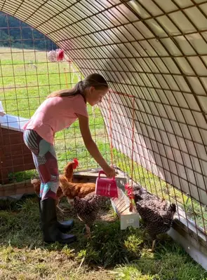 a woman feeding chickens in a chicken coop at Glamping nad Meandry v jurtě in Chyňava