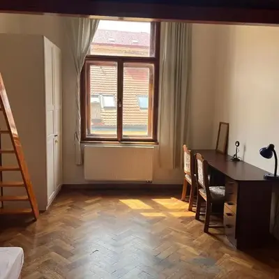 Central cozy rooms Soukenická S36